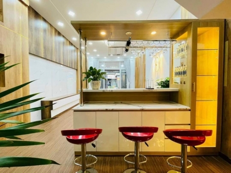 Định Cư Gả Lại Hoa Hậu - MT Gò Vấp - 4.5x15m - 65m2 - Vuông A4 - 4 Tầng ST - Gara Ô tô - Chỉ 8.1 tỷ