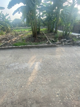 Chính chủ bán đất Trạch Mỹ Lộc 52m2 630tr đường xe tải đỗ cửa