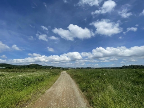 CHỈ 1.6 TY CÓ NGAY 1058M ĐẤT CLN, LỘC CHÂU BẢO LỘC LÂM ĐỒNG