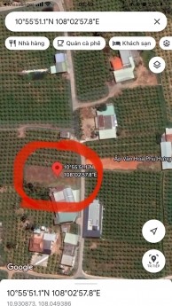 CHỈ 1,3 TỶ CÓ NGAY 511M ĐẤT CLN CÓ 200M THỔ CƯ HÀM MỸ, BÌNH THUẬN