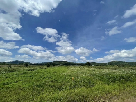 CHỈ 1.6 TY CÓ NGAY 1058M ĐẤT CLN, LỘC CHÂU BẢO LỘC LÂM ĐỒNG