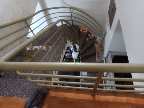 Bán nhà cũ tiện xây mới Lê Trọng Tấn hẻm thông 2 tầng 2 PN 2WC.