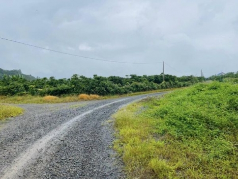 CHỈ 1.6 TY CÓ NGAY 1058M ĐẤT CLN, LỘC CHÂU BẢO LỘC LÂM ĐỒNG