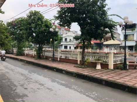 Giá 90 triệu, Mrs Diễm cần bán 53m đất Hội Phụ, Đông Hội, Đông Anh