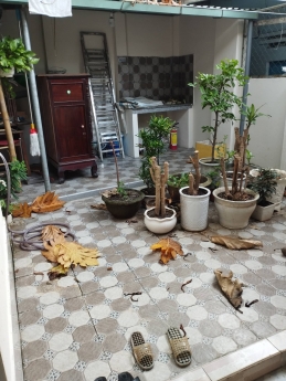 157 m2 nhà 3PN  Nguyễn Lương Băng, gần Bách Khoa Đà Nẵng, giá rẻ.