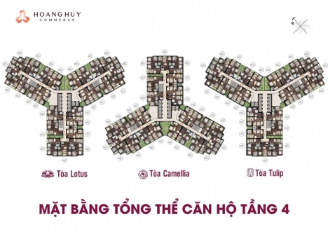 CĂN HỘ 3️ PHÒNG NGỦ DUY NHẤT TẠI TẦNG 31 TÒA LOTUS HOÀNG HUY COMMERCE