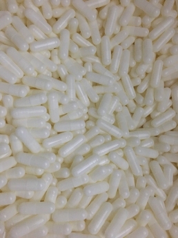 vỏ nang rỗng, vỏ nang con nhộng, viên nang rỗng, empty gelatin size 0, size1, size 2, size 3