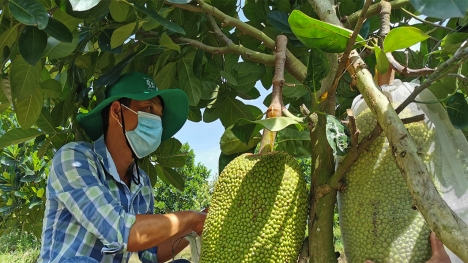 VƯỜN HỒ TRỊ AN LA NGÀ ĐỊNH QUÁN ĐỒNG NAI