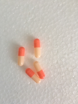 vỏ nang rỗng, vỏ nang con nhộng, viên nang rỗng, empty gelatin size 0, size1, size 2, size 3