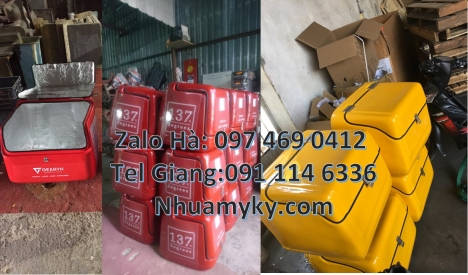 Thùng giữ nhiệt xe máy, thùng chở hoa quả thùng chở hàng sau xe máy thùng giao hàng cao cấp Thùng