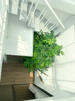 Bán nhà đẹp Nguyễn Trãi,Thanh Xuân,DT47x4,MT6.6,ô tô,giá 6.5 tỷ