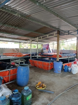 Bán Đất Có Sẵn Trang Trại, Cây Ăn Quả , Nhà Cấp 4 tại Diên Sơn - Diên Khánh
