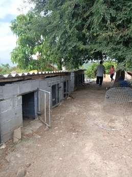 Bán Đất Có Sẵn Trang Trại, Cây Ăn Quả , Nhà Cấp 4 tại Diên Sơn - Diên Khánh