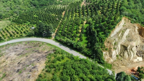 BÁN GẤP 2 SIÊU PHẨM ĐẤT VIEW ĐẸP NGANG 50M LÀM NHÀ VƯỜN & KHU NGHỈ DƯỠNG CẠNH HỒ TRỊ AN - ĐỊNH QUÁN