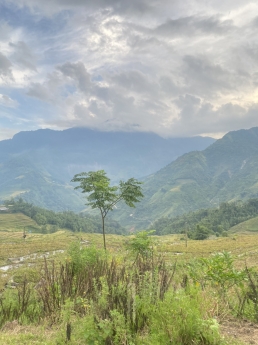 -Mường Hoa- Sapa- Lào Cai, view thung lũng siêu đẹp