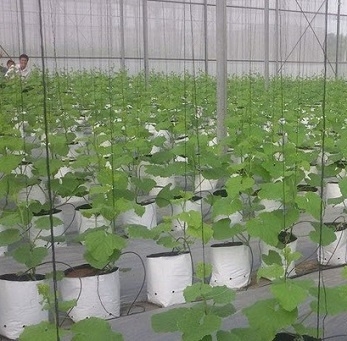 Bao đựng túi giá thể, túi bầu trồng cây, túi pe giá rẻ, túi nhựa trồng cây