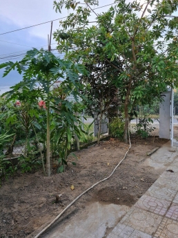 Bán Lô Đất Vườn Tỉnh Lộ 2 Diên Thọ diên Khánh Khánh Hòa Thích Hợp Làm Vườn NGhĩ DƯỡng Kinh DOanh