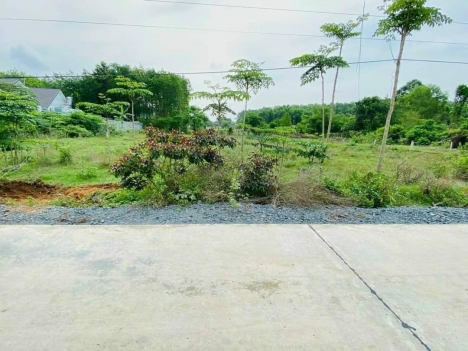 Do Nợ NH Chủ gửi bán gấp lô đất 387/1 Tân An Hội, Củ Chi