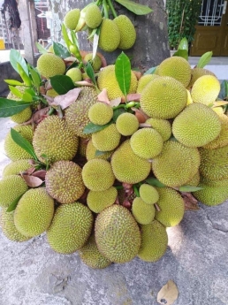 Chính chủ bán mảnh đất Phúc Lợi - Long Biên, gần công viên, gần chợ, gần trường học... 46m2, mt