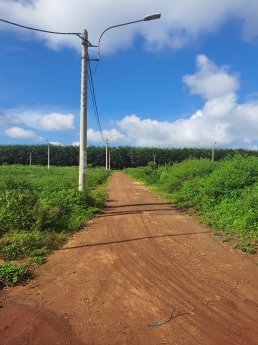 Siêu Hot!!! Chỉ với 900tr bạn đã sở hữu lô đất 132m2 mặt tiền QL29