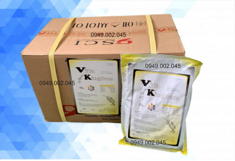 VITA KINGDOM - Vitamin tổng hợp tăng sức đề kháng cho tôm cá