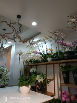 BÁN NHÀ 3 MẶT HẺM THÍCH QUẢNG ĐỨC - NGANG 4 - 32M2 - 6TY3 TL