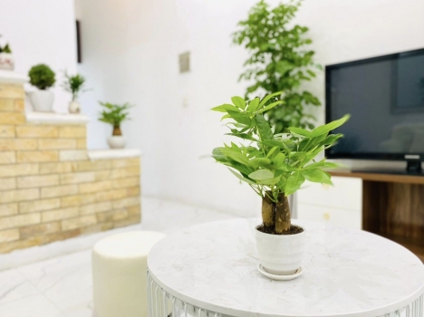 Bán nhà đẹp Lạc Long Quân,Cầu Giấy,DT41x4,MT3.5,ba gác,giá 5.29 tỷ