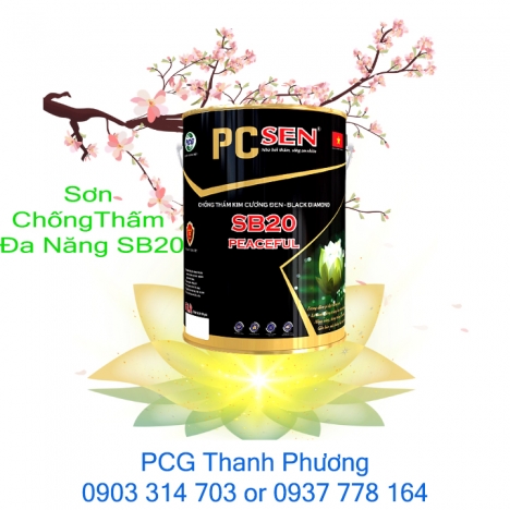 Sơn chống thấm SB20 . Giải pháp chống thấm đột phá hiệu quả vừa an toàn tuyệt đối