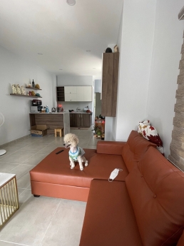 Nhà rẻ hiếm Thống Nhất, Gò Vấp, 5x12m, 4Tỷ