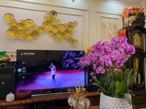 Bán Biệt thự Lưu Hữu Phước – Mỹ Đình 1: DT200M – 3Tầng – MT14m: 46 Tỷ