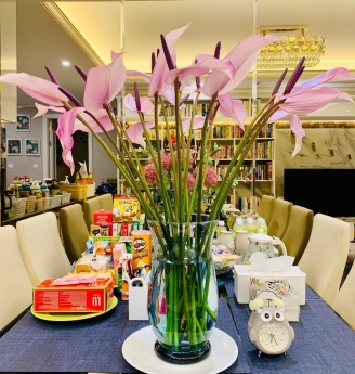 NHÀ HOÀNG QUỐC VIỆT - CẦU GIẤY. PHÂN LÔ. GARA Ô TÔ. DT 110M2. GIÁ 17,6 TỶ. LH