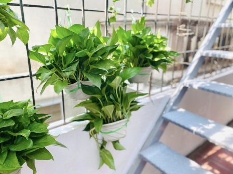 Bán nhà đẹp Lạc Long Quân,Cầu Giấy,DT41x4,MT3.5,ba gác,giá 5.29 tỷ