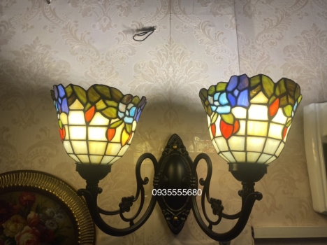 Giao lưu 1 vài em đèn tường hoa leo
