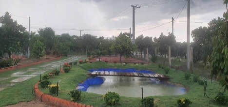 TẠI VÌ SAO CÁC CÂY XĂNG LẠI KHÔNG BÁN NỮA