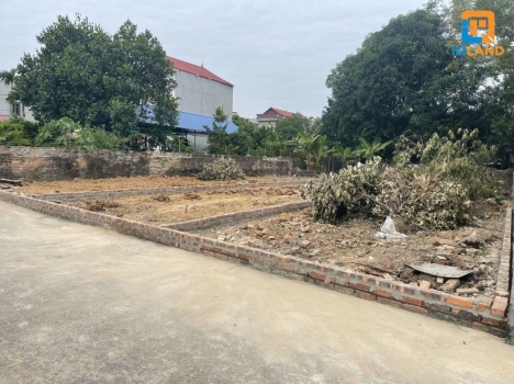 Đất bìa làng 112m2 thôn Bắc Thượng, Quang Tiến, Sóc Sơn. Đường rộng 8m, gần kcn Nội Bài.