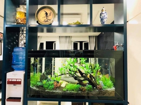 HIẾM - Bán nhà HXT Võ Thị Thừa An Phú Đông 81m194m chỉ 5.7 tỷ