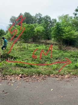 Siêu Phẩm bán gấp lô đất Mai thị Chửng, Tân An Hội, Củ chi