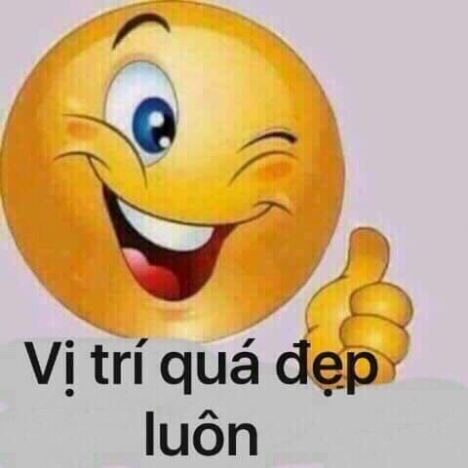 BÁN CĂN HỘ DỊCH VỤ MỚI XÂY DỰNG - TRUNG TÂM CHỢ THỦ ĐỨC