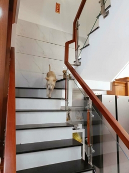 NHÀ VIP 18B QBT 4 TẦNG 78M2 HXT SỔ HC ĐỦ NHĨNH 6 TỶ