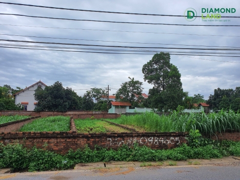 120m măt đường nhựa Thái Lai - Minh Trí giá 22,8tr/m. gọi  em LỢI