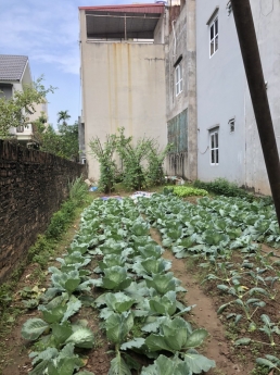 Bán gấp lô đất phố Bát khối, ô tô, kinh doanh, diện tích 90 m2, giá chỉ 5,8 tỷ.