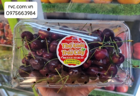 Top mẫu hộp nhựa trong suốt đựng cherry chính hãng rẻ nhất toàn quốc
