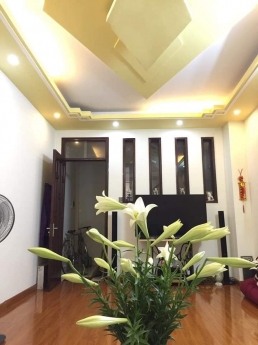 Bán nhà Đặng Tiến Đông Đống Đa 40M2x5T MT 5M 5Tỷ4