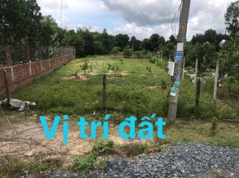 Ngộp Bán gấp lô đất Nguyễn Thị Chiên, Tân An Hội, Củ chi
