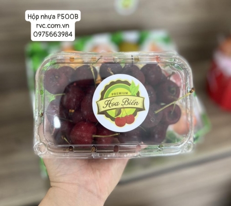Top mẫu hộp nhựa trong suốt đựng cherry chính hãng rẻ nhất toàn quốc