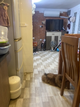 Bán nhà siêu to giá nhỏ,Trần Khát Chân,Hai Bà Trưng,kinh doanh, 25m2, Mt 5,5m, nhỉnh 1,8tỷ. .