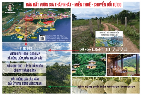 Phan Thiết trờ thành trung tâm tứ giác vàng du lịch biển
