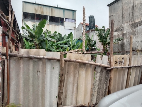 Chị Gái Em có  mảnh Đất Bán 64m² - thị trấn Đông Anh