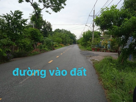 Ngộp Bán gấp lô đất Nguyễn Thị Chiên, Tân An Hội, Củ chi