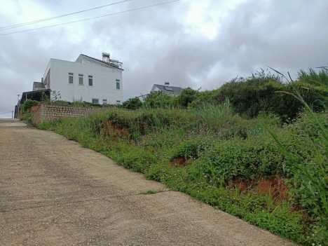 Cơ Hội sở hữu Đất Xây Dựng P8, Đà Lạt giá chỉ với 2.7 tỷ